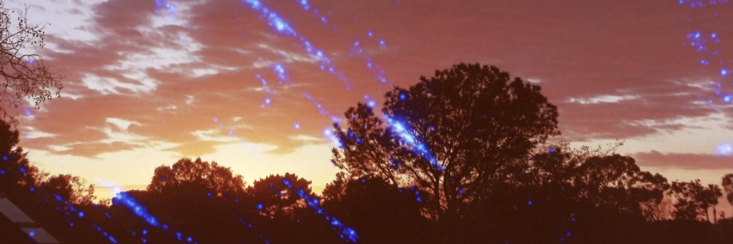 mia_tesch's profile banner image