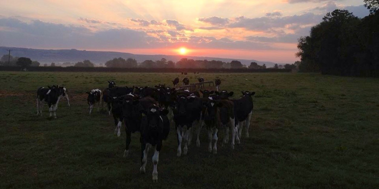 Joanne Vickers 💙🎓 banner