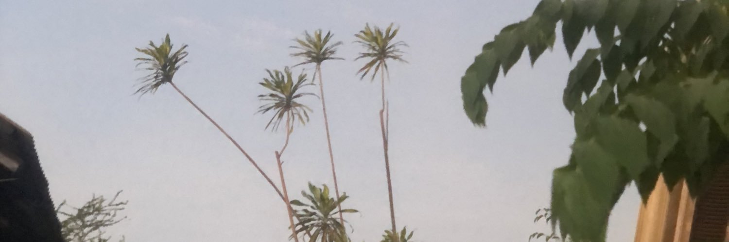 _ginamari's profile banner image