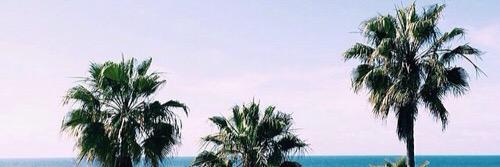 dallasviews's profile banner image