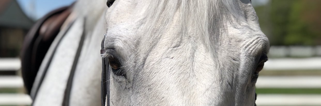 EqLifeProblems's profile banner image