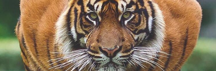 PriceAlex16's profile banner image