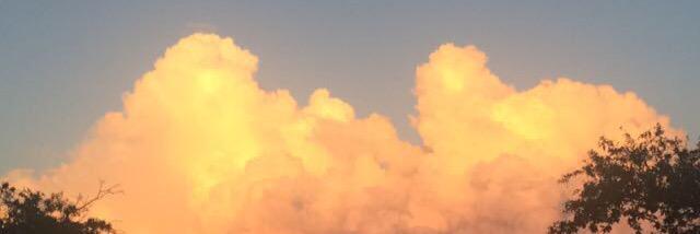 whatt_danielle's profile banner image