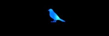 gilsimaoo's profile banner image