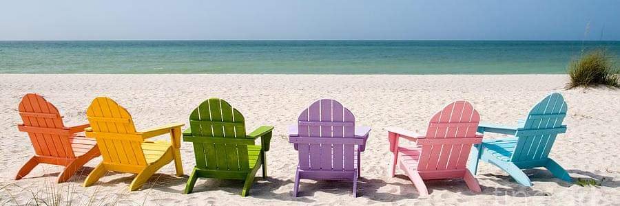 Cynthia Belfitt (She\Her) banner