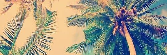 loly_rook's profile banner image