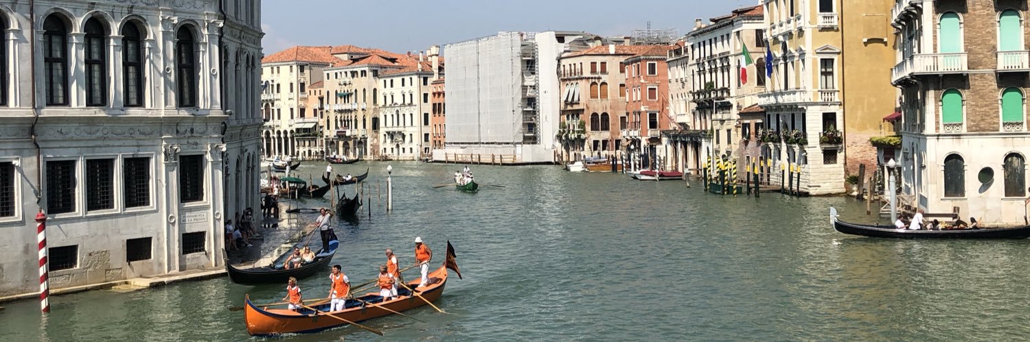 YaYo Vicuña G. banner