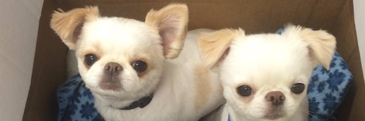 Soudertonspace's profile banner image