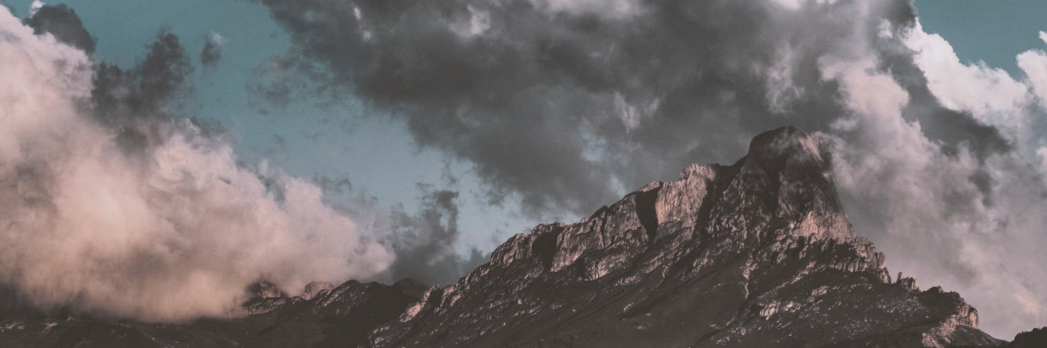 Plaintweet banner