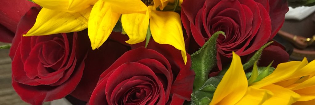 jpierreantoine's profile banner image