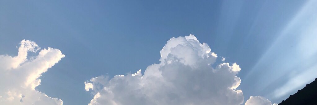 zzowTsp_'s profile banner image