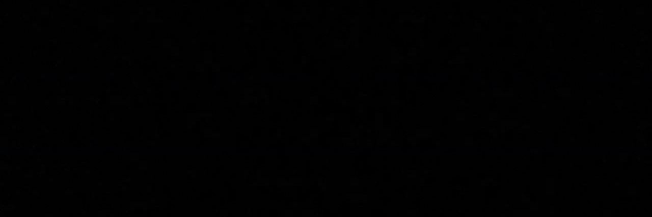 🌻 banner