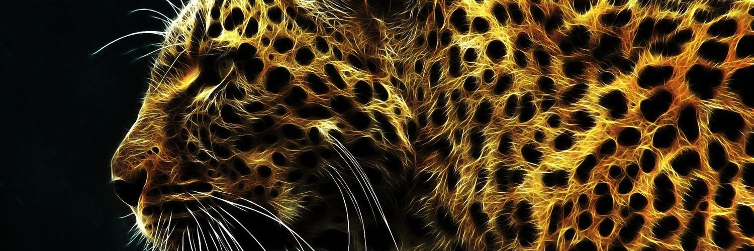 ankit_gupt's profile banner image