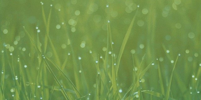 FPLTracker's profile banner image