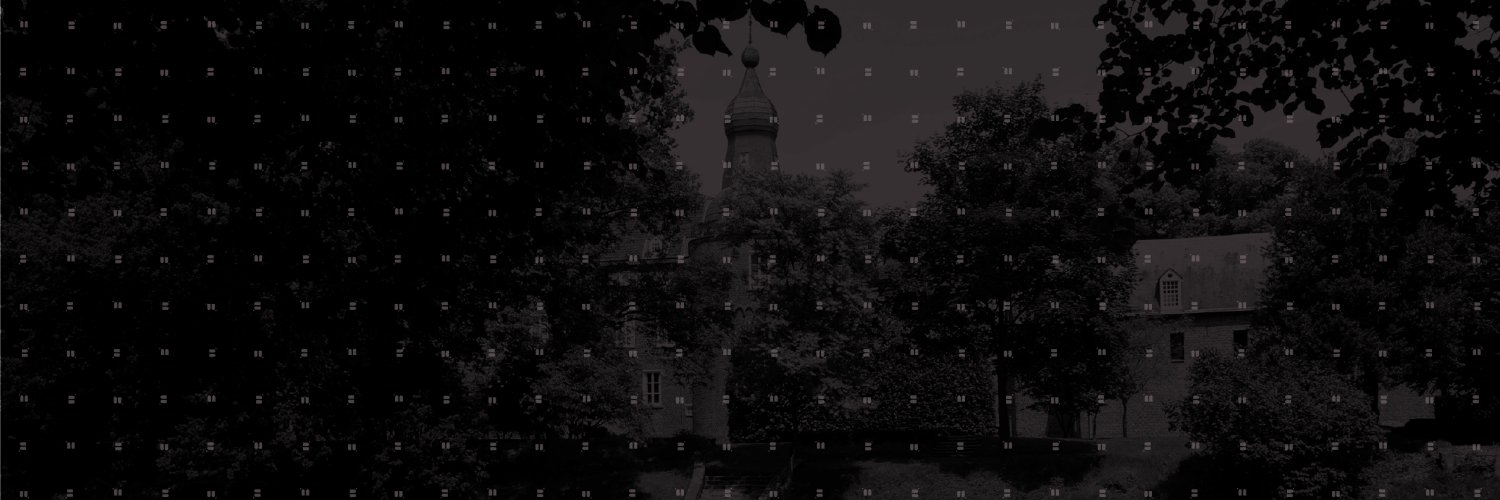 mvroemen's profile banner image