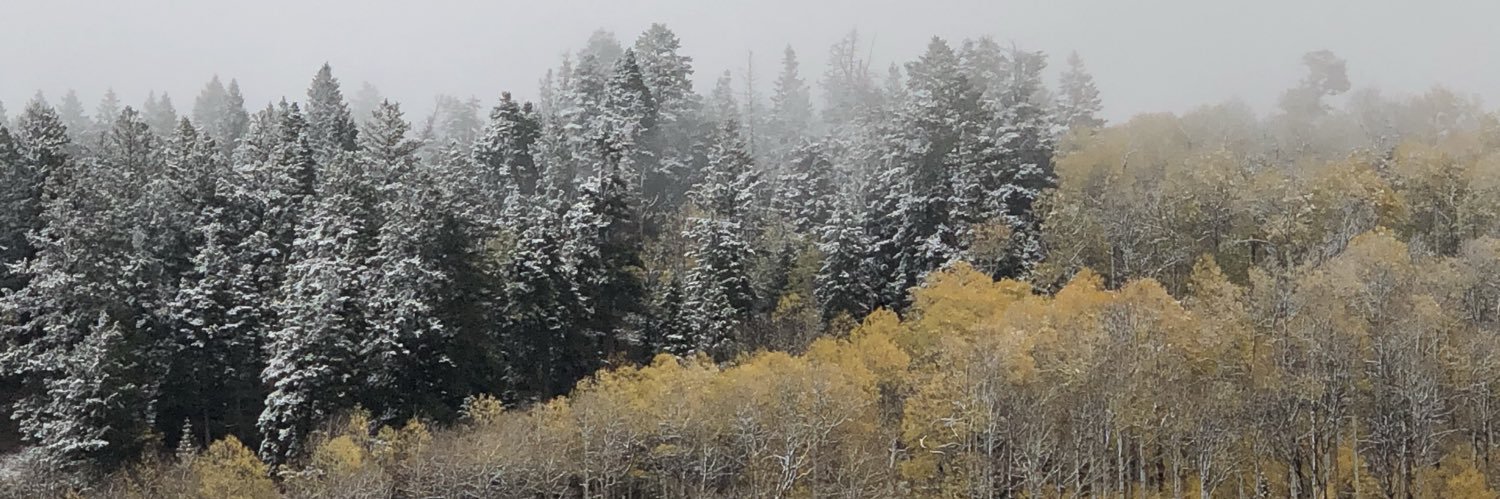 twest_24's profile banner image