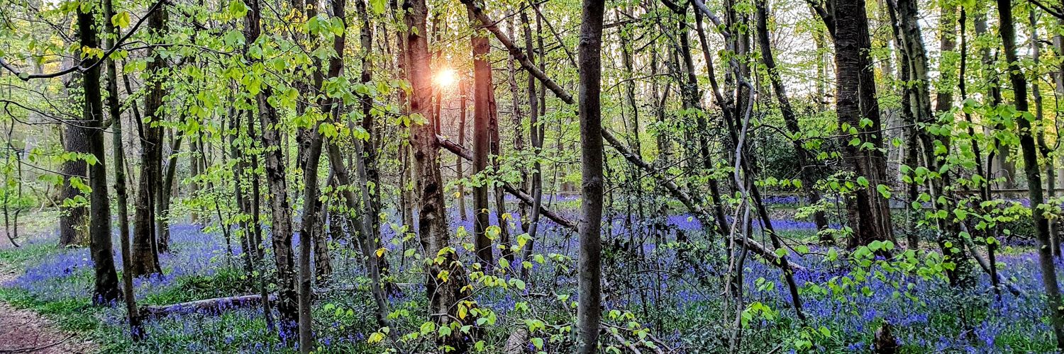 Richard Capper banner