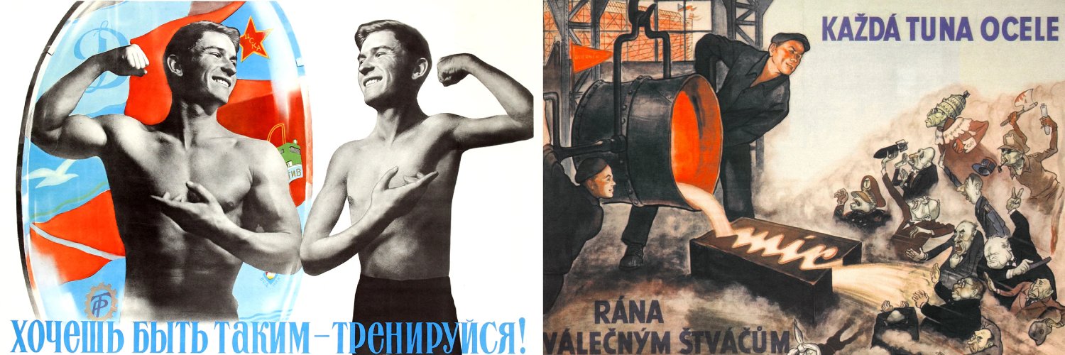 🇮🇪🇵🇸 Saoirse Don Phalaistín banner