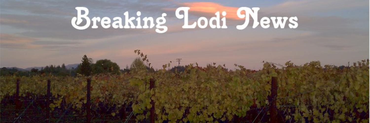Lodi Buzz banner