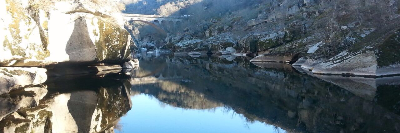 soledad valle amaro banner