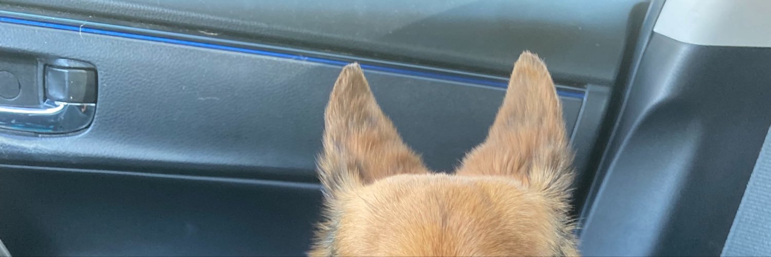 deeaana_'s profile banner image