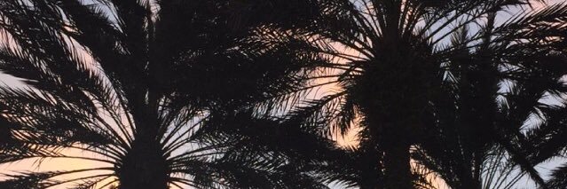 Tresvante's profile banner image