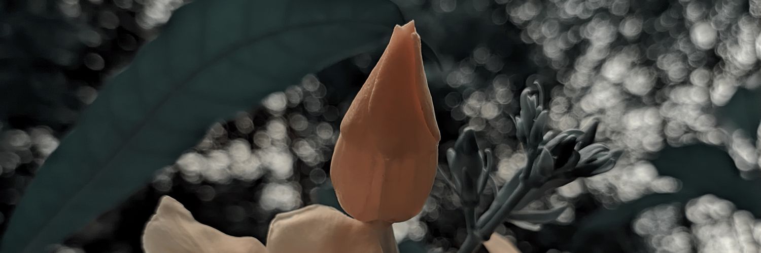 hkforhad's profile banner image