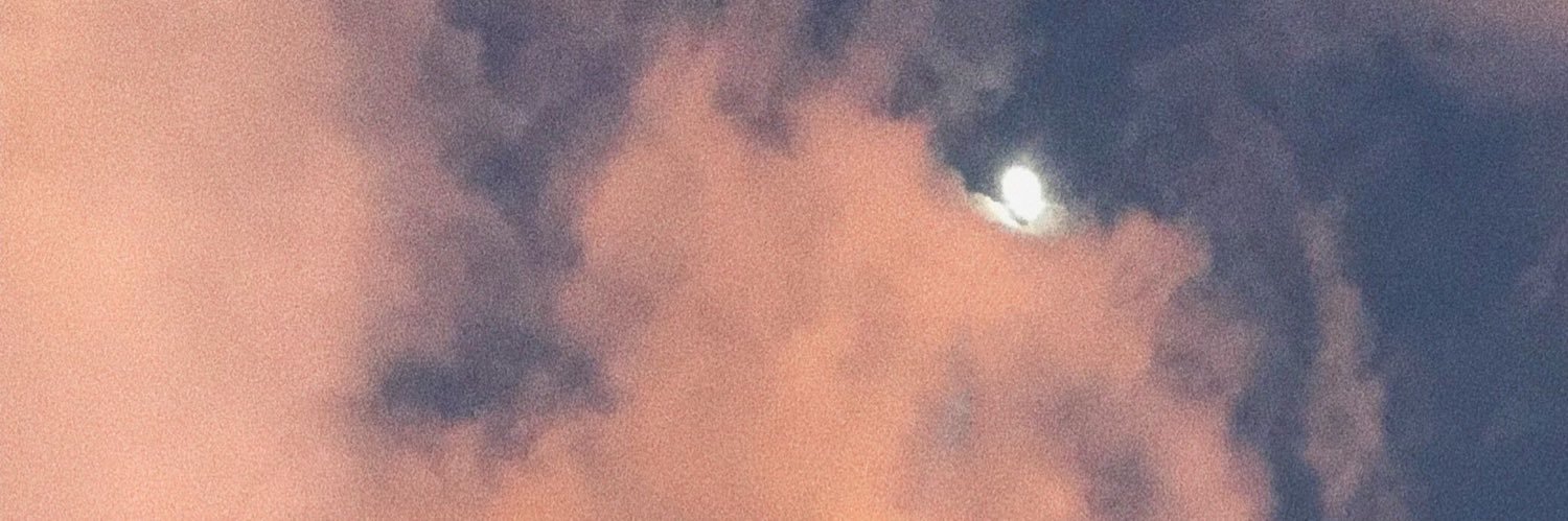 paocoellarh's profile banner image