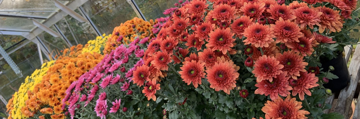 YorksGardener's profile banner image