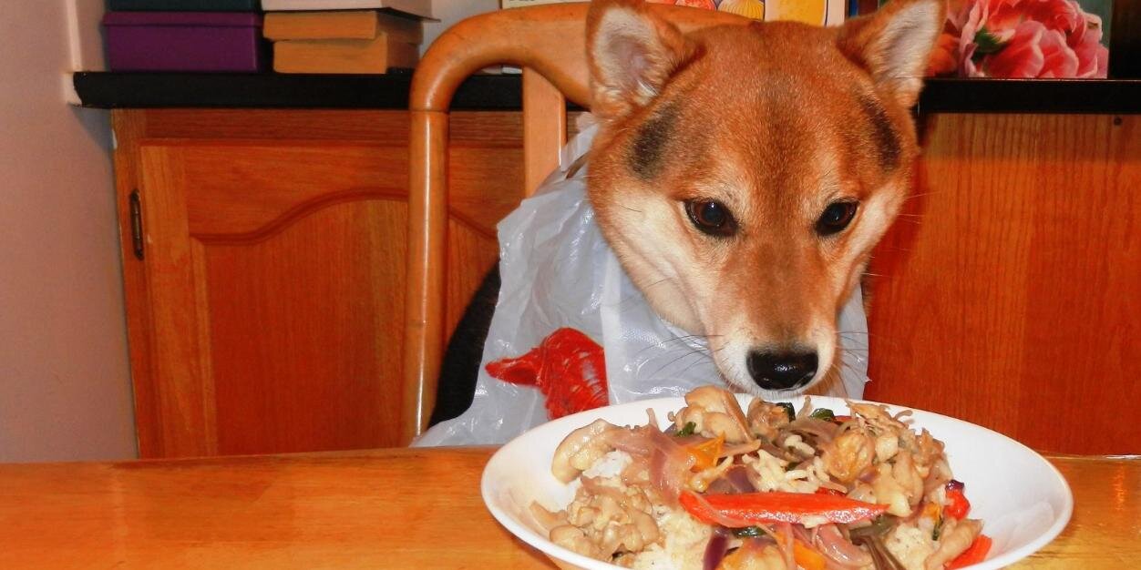much_eat's profile banner image