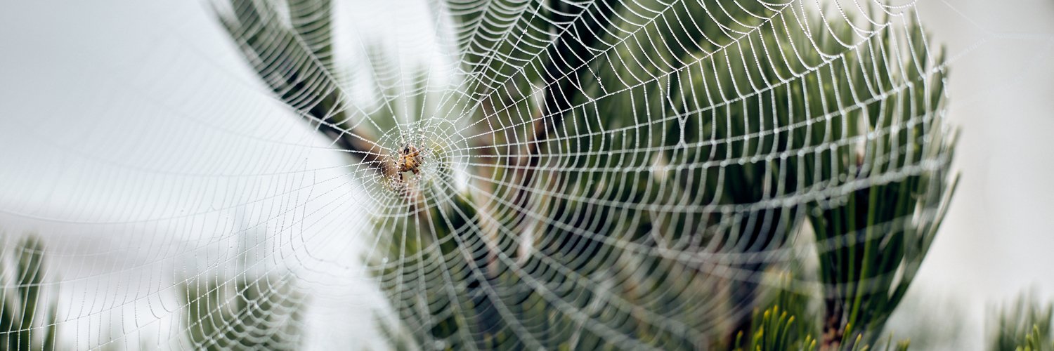 jamesrampton's profile banner image