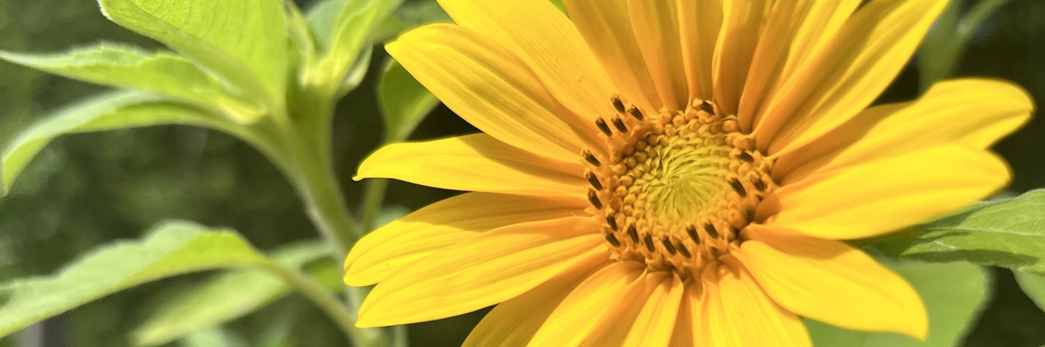 MirandaPaygee12's profile banner image