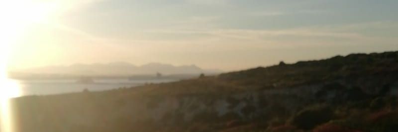 nikifloris's profile banner image