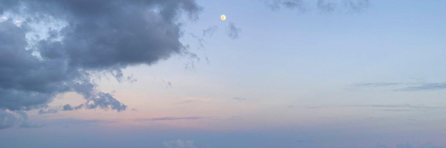 patrii_dlf's profile banner image