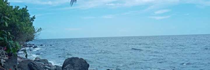HDoyog's profile banner image