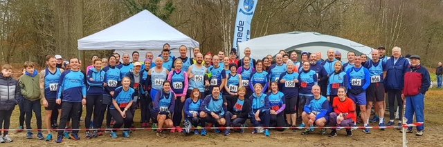 Runnymede Runners banner