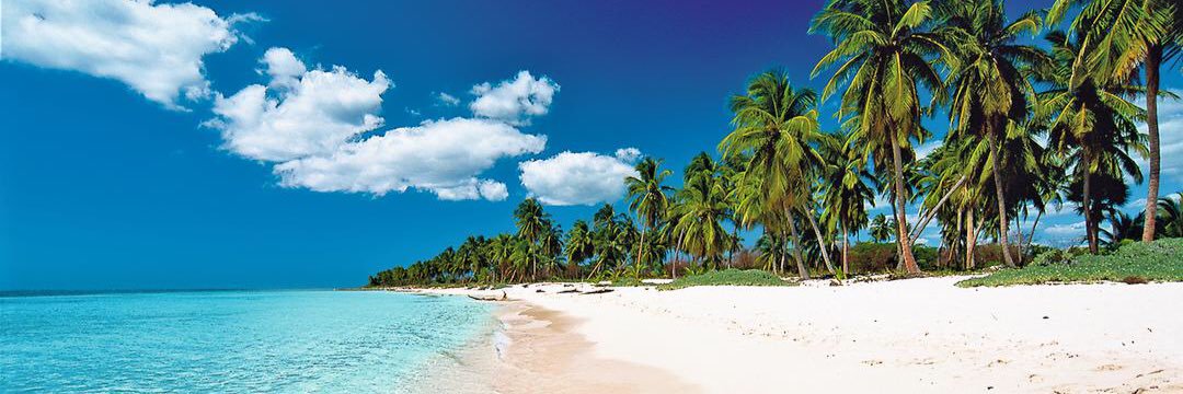 BeccaMeccBingo's profile banner image