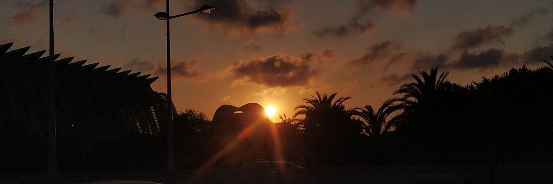 marta_cacho's profile banner image