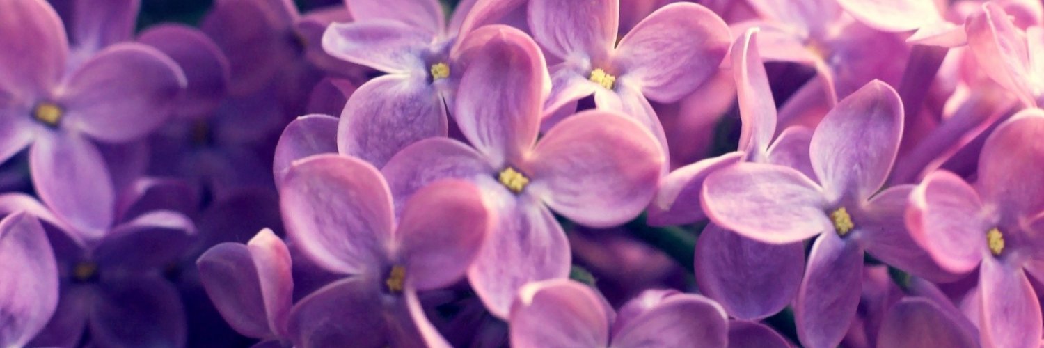 IilaSeagle's profile banner image