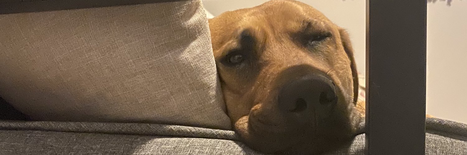 DanaReese4's profile banner image