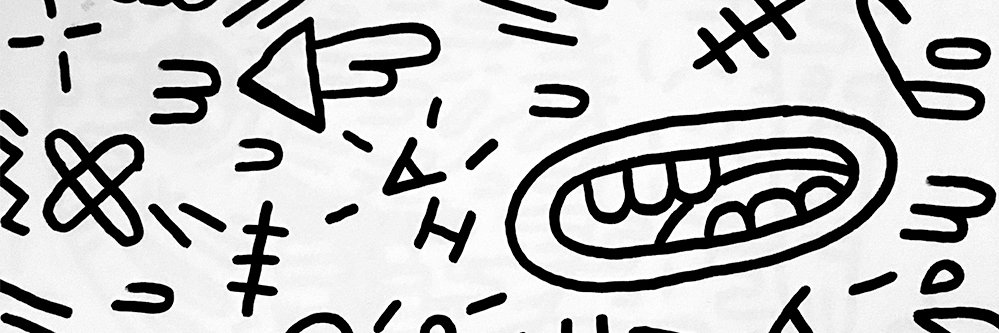 vinyltype's profile banner image
