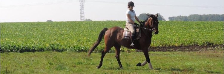ceulette's profile banner image