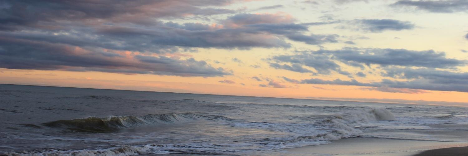 solcichiodi's profile banner image