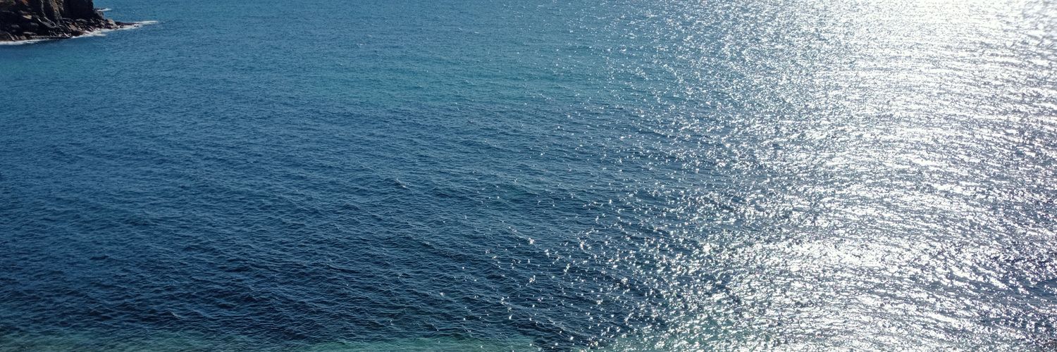 malbertinaguerr's profile banner image
