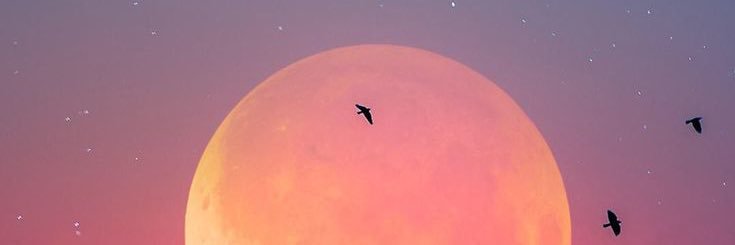 burbeyry's profile banner image