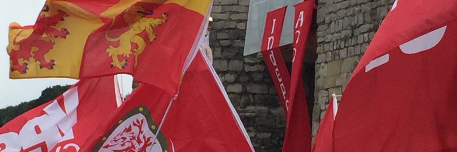 🏴󠁧󠁢󠁷󠁬󠁳󠁿Sionyn🏴󠁧󠁢󠁷󠁬󠁳󠁿 banner