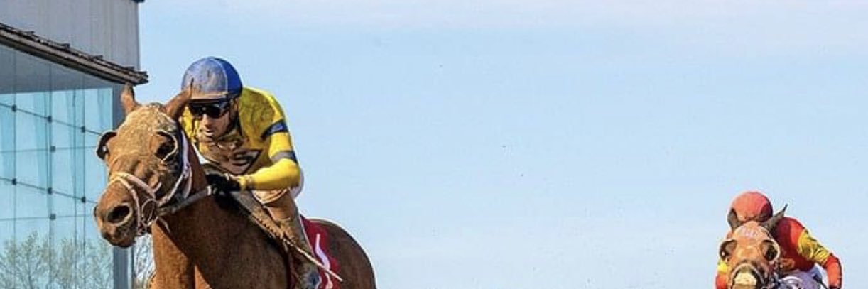 tessoreb's profile banner image