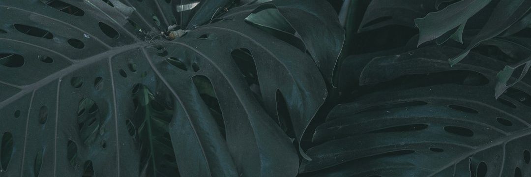 VPR_96's profile banner image
