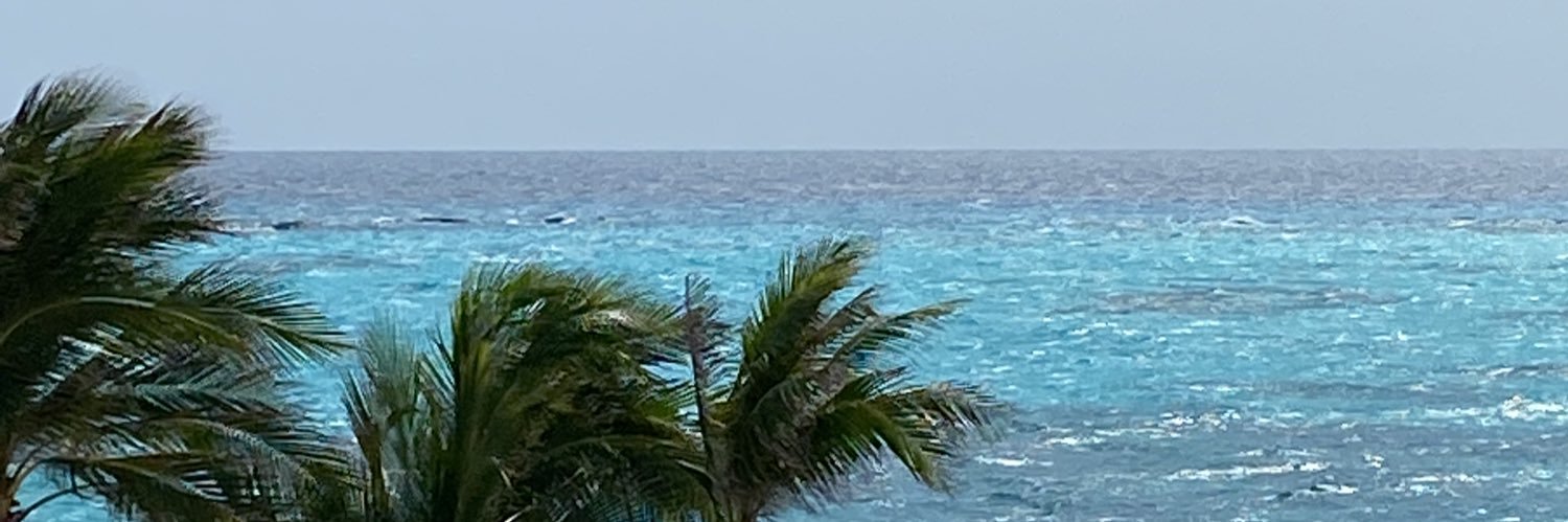 fabricioandradd's profile banner image