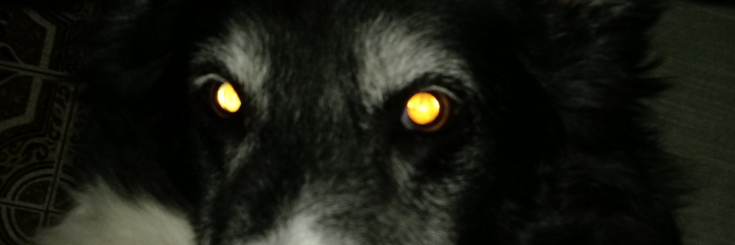 AntoSupreme's profile banner image